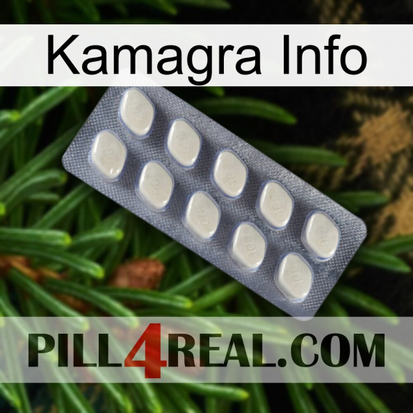 Kamagra Info 08.jpg